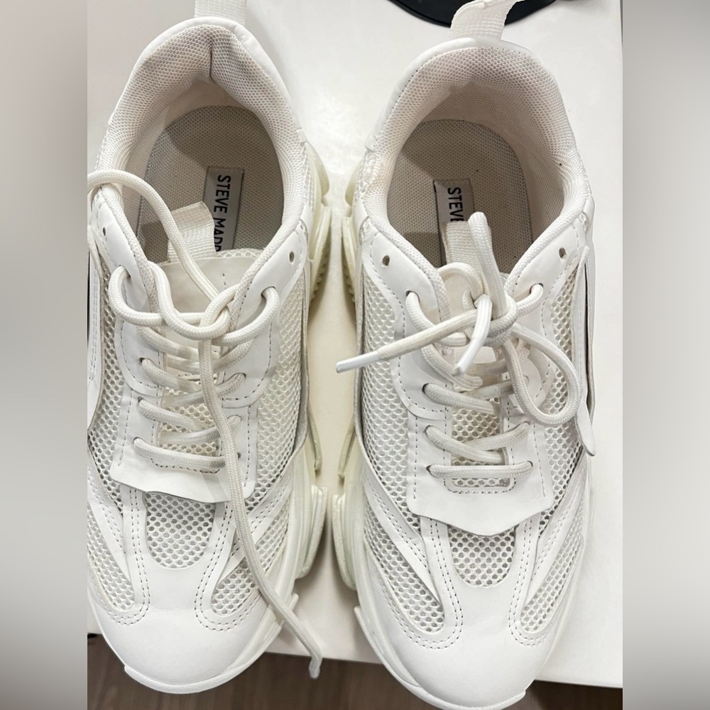 Steve Madden Possession Sneakers